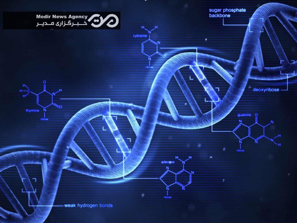 DNA | دئوکسی‌ریبونوکلئیک اسید (دی ان ای)